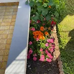 Petite Maison De Village 度假居 Ancerville (Meuse)