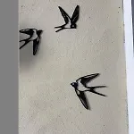 Petite Maison De Village *